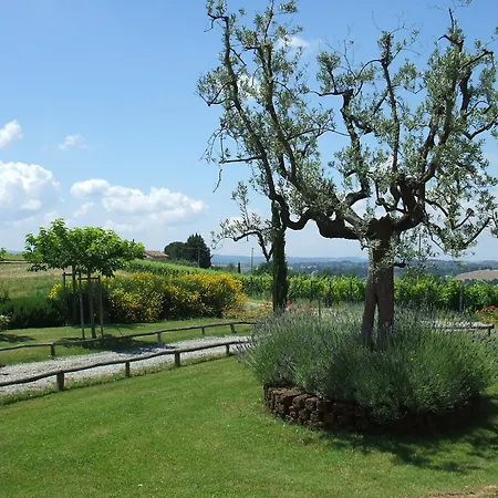 Lantgård Le Fonti A San Giorgio Montespertoli