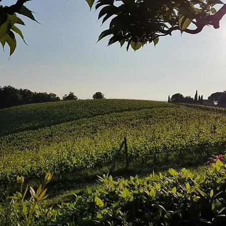 Lantgård Le Fonti A San Giorgio Montespertoli