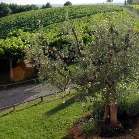 Feriegård Le Fonti A San Giorgio Montespertoli