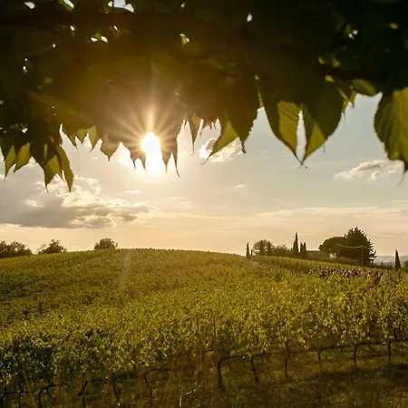 Le Fonti A San Giorgio Montespertoli